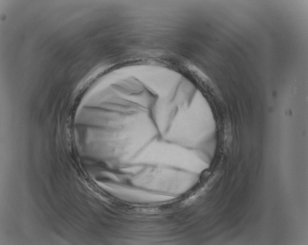 X0000081491354200702100020