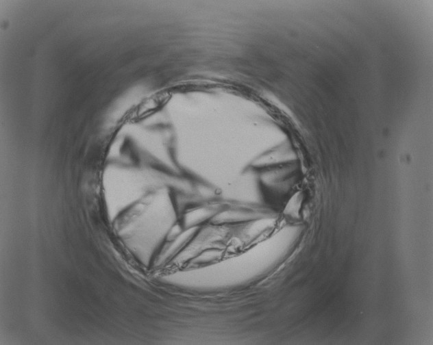 X0000081491355200702100020