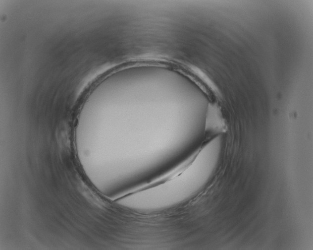 X0000081491356200702100019