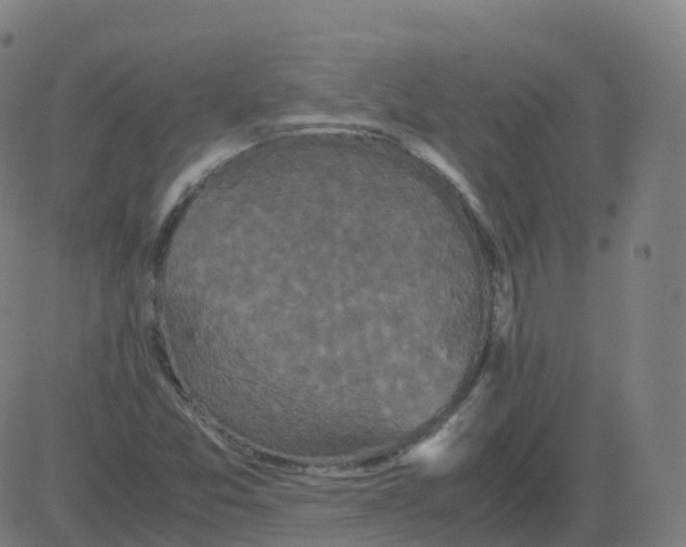 X0000081491357200702100019