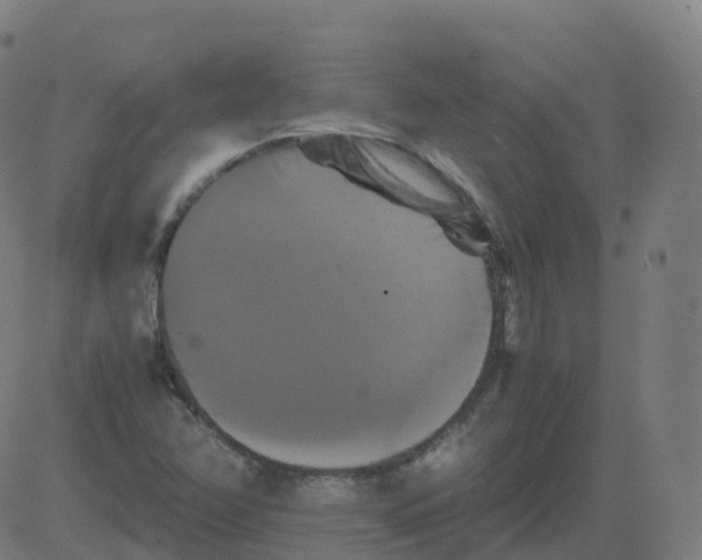 X0000081491358200702100019