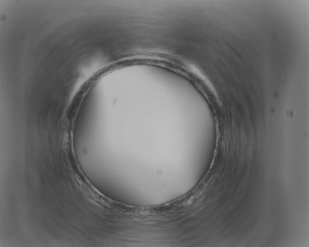 X0000081491360200702100019