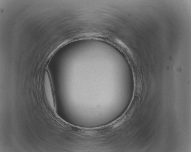 X0000081491361200702100019