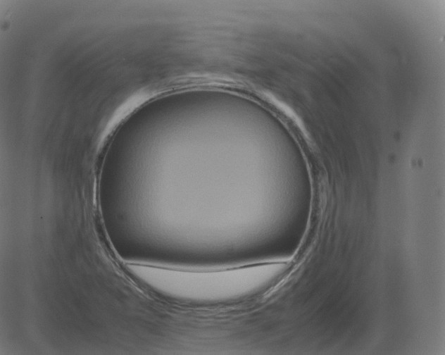 X0000081491365200702100019