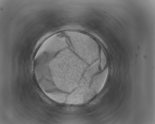 X0000081491366200702100019