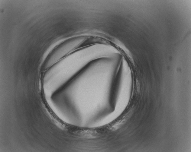 X0000081491368200702100019