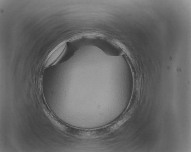 X0000081491369200702100019