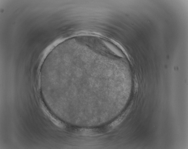 X0000081491371200702100019