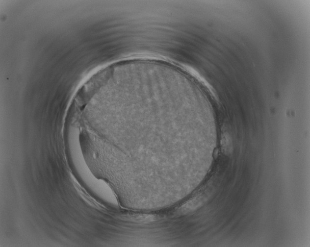 X0000081491372200702100019