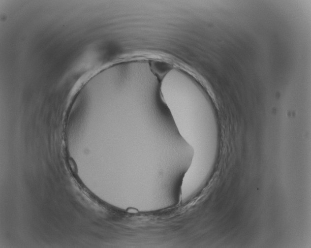 X0000081491373200702100019