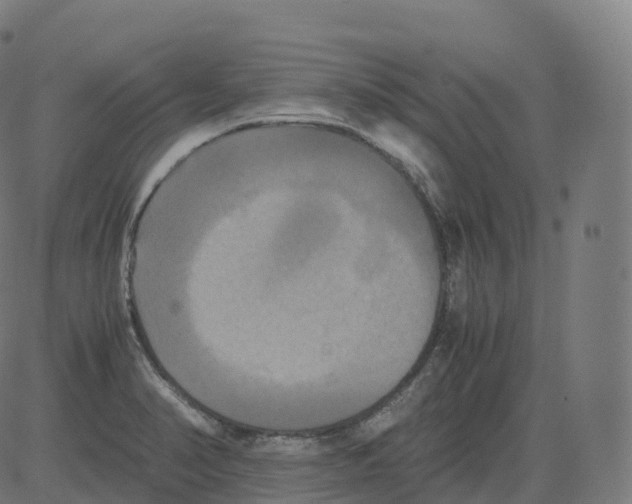 X0000081491374200702100019