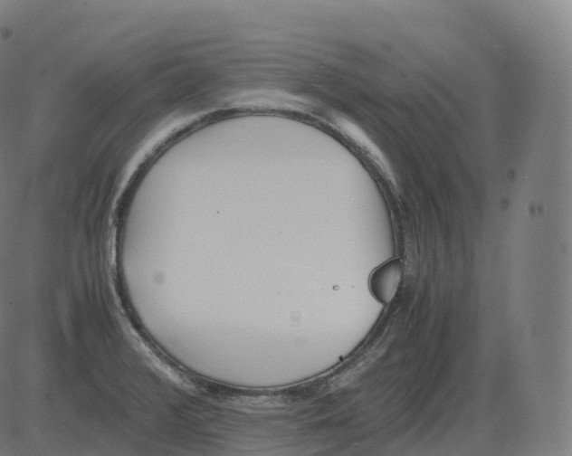 X0000081491376200702100019