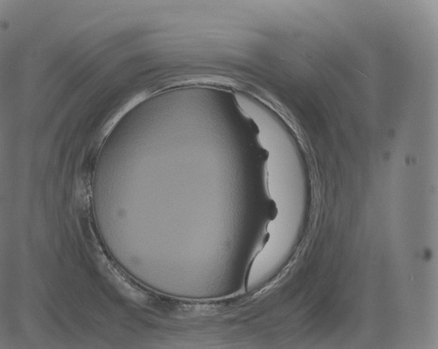 X0000081491377200702100019