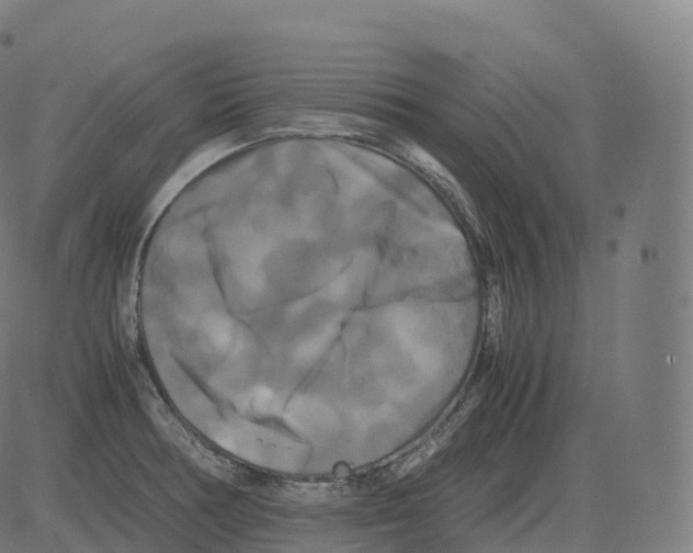 X0000081491378200702100019