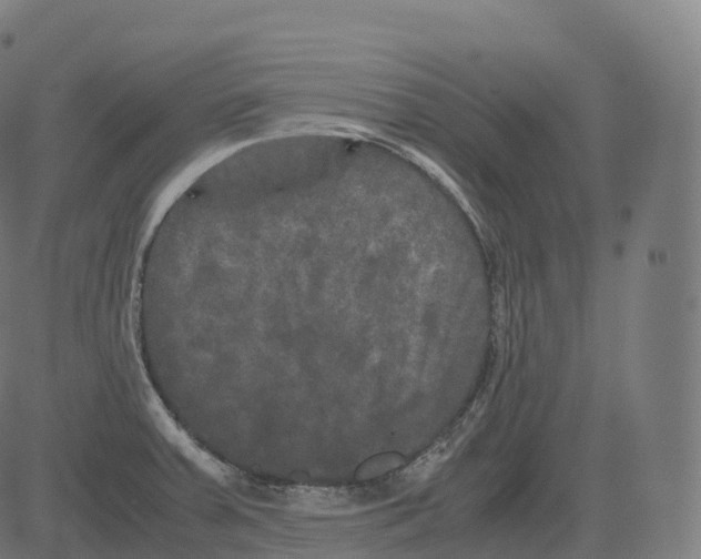 X0000081491379200702100019