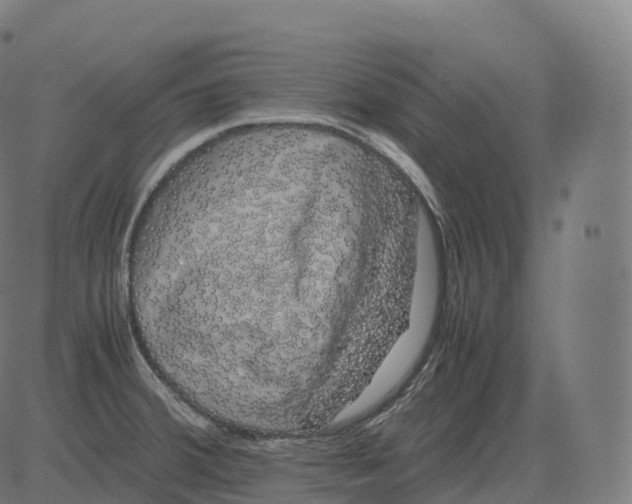 X0000081491380200702100019