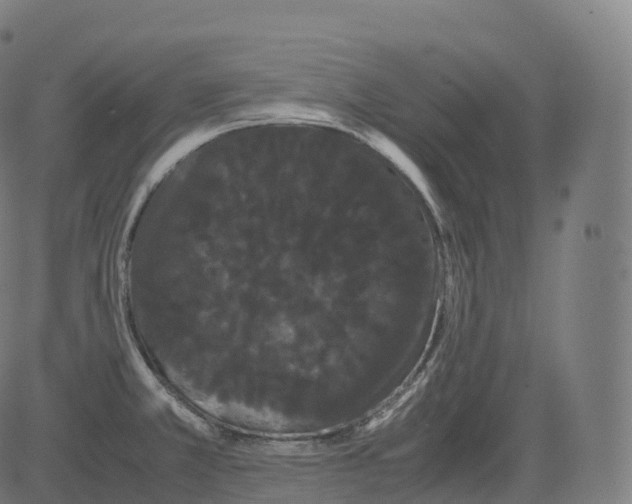 X0000081491381200702100019