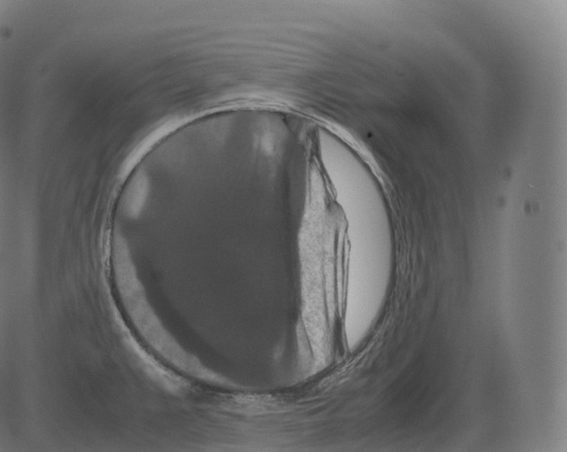 X0000081491383200702100019