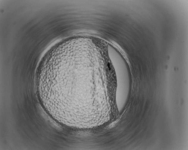 X0000081491384200702100019