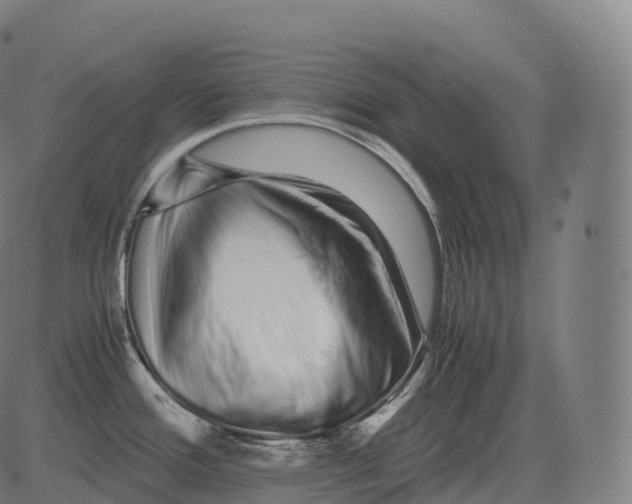 X0000081491388200702100019