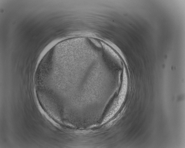 X0000081491389200702100019