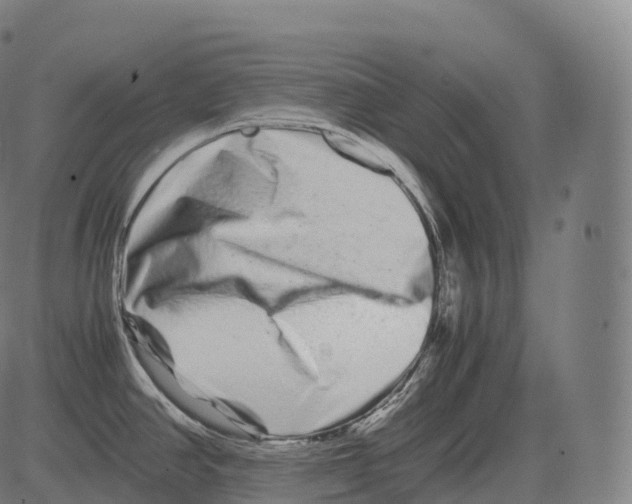 X0000081491390200702100019