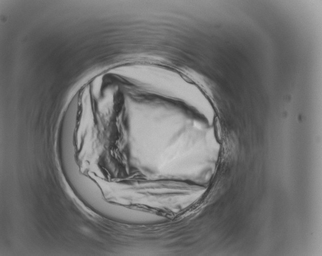 X0000081491391200702100019