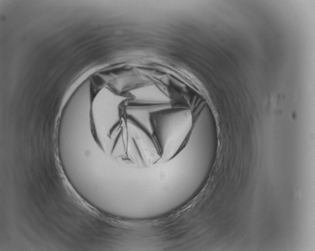 X0000081491392200702100019