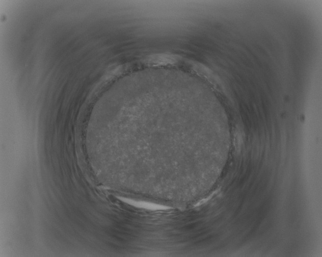 X0000081491393200702100018