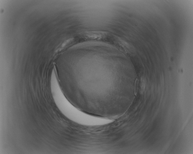 X0000081491394200702100018