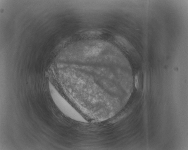 X0000081491395200702100018