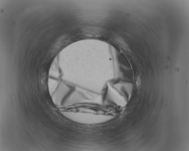 X0000081491396200702100018