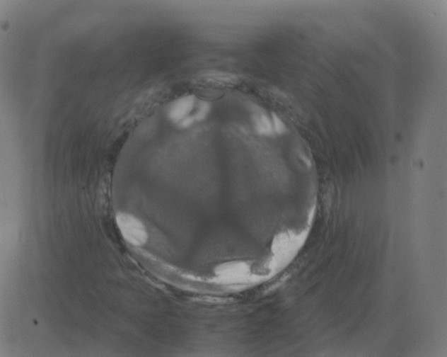 X0000081491397200702100018