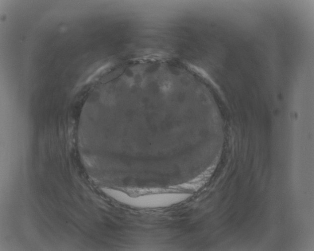 X0000081491399200702100018