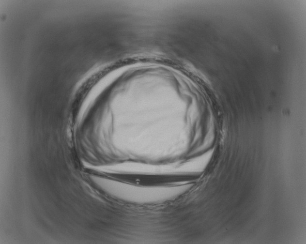 X0000081491400200702100018