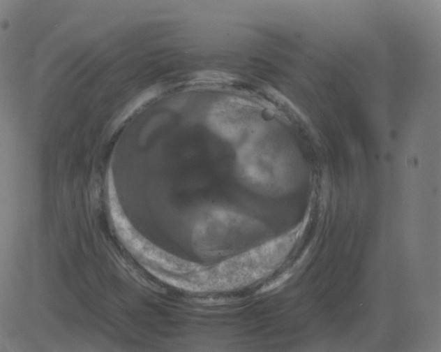 X0000081491401200702100018