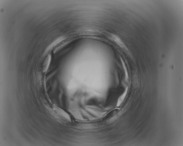 X0000081491402200702100018