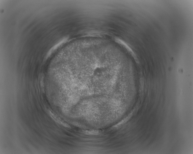 X0000081491403200702100018