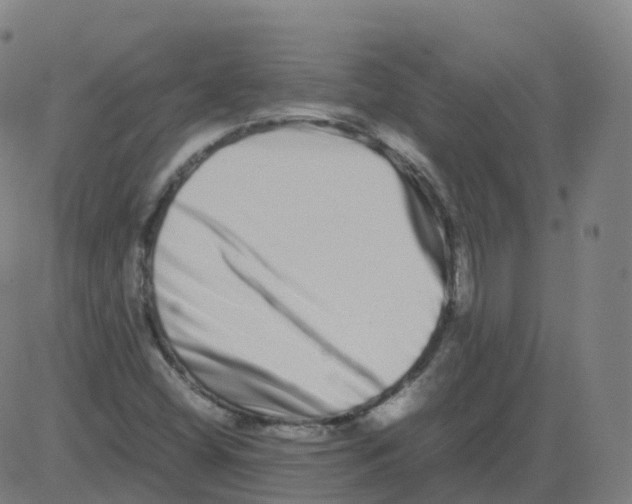 X0000081491404200702100018