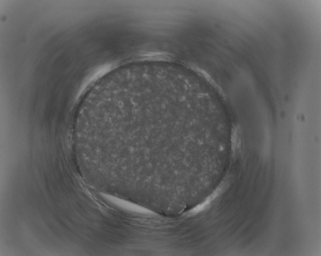 X0000081491405200702100018