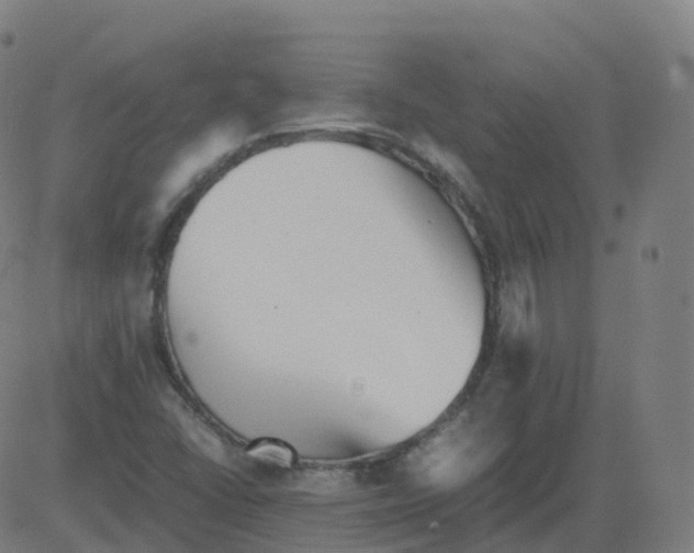 X0000081491406200702100018