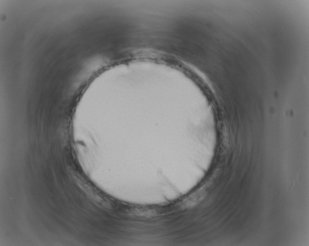 X0000081491407200702100018