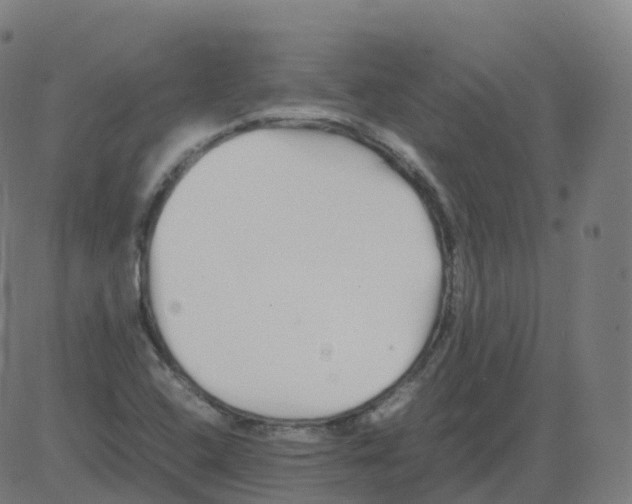 X0000081491408200702100018