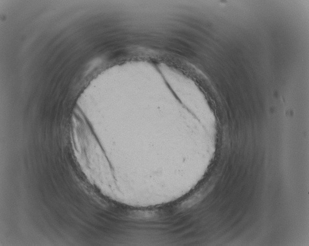 X0000081491409200702100018