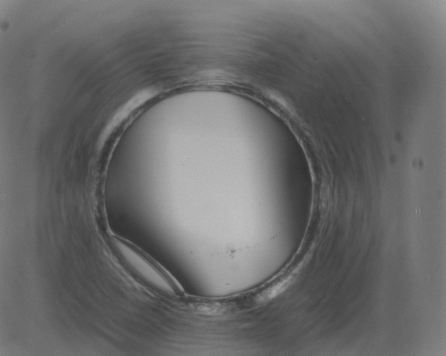 X0000081491410200702100018