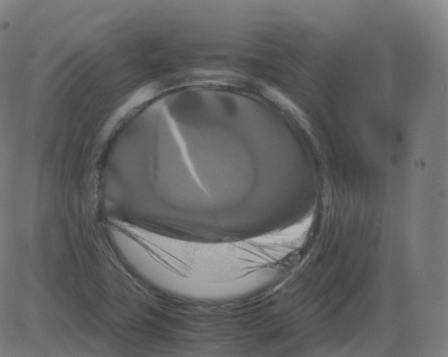 X0000081491411200702100018