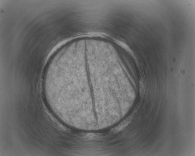 X0000081491412200702100018