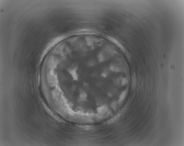 X0000081491413200702100018