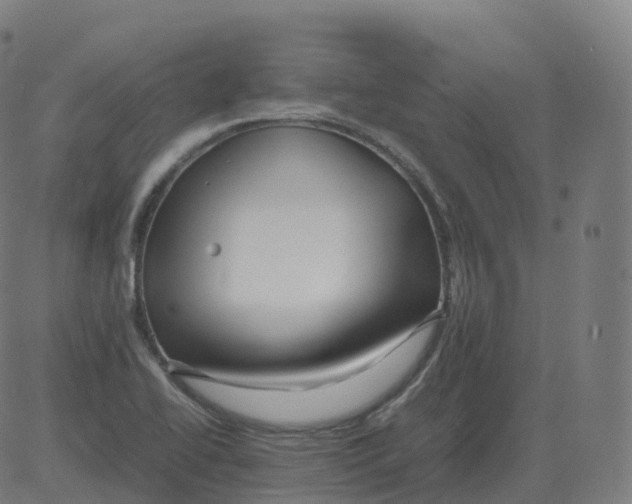 X0000081491414200702100018