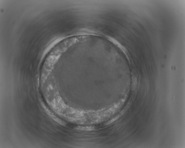 X0000081491415200702100018